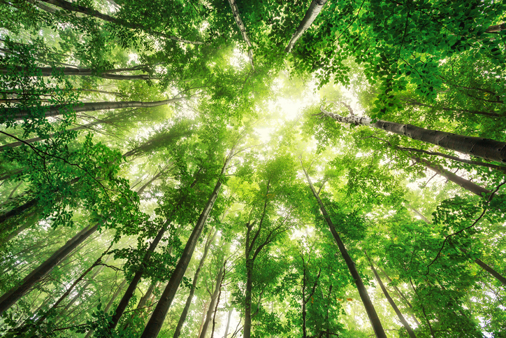 Doğasıyla Büyüleyip Bahar Yorgunluğunuzu Atmanıza Yardımcı Olacak 5 Yer