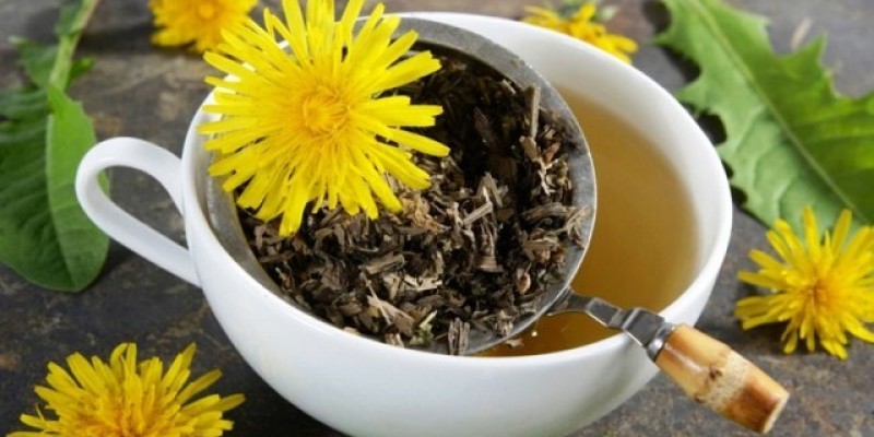 Karahindiba Çayının Faydaları Nelerdir?