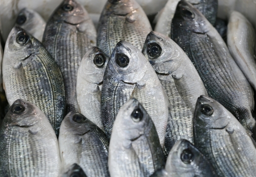 Melanur Balığı Faydaları Nelerdir?