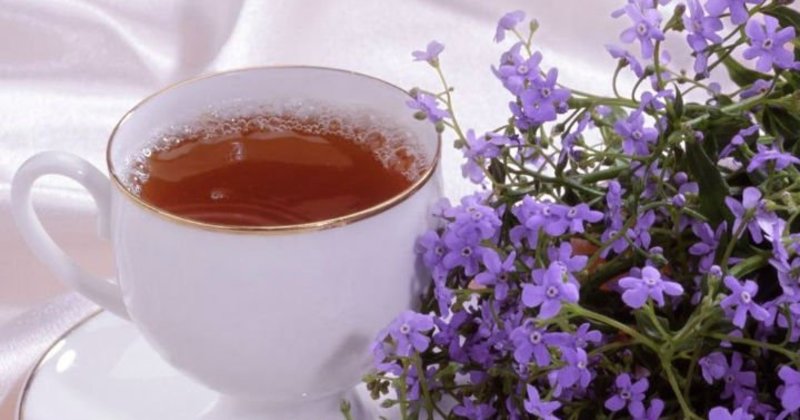 Funda Çayı Kullanımı ve Faydaları