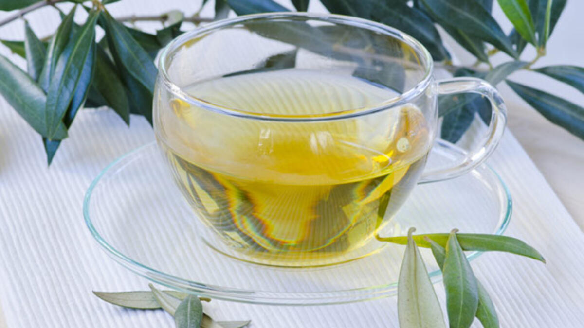 Zeytin Yaprağı Çayı Faydaları Nelerdir? – Zeytin Yaprağı Çayı  Şifası