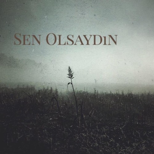 Sen Olsaydın