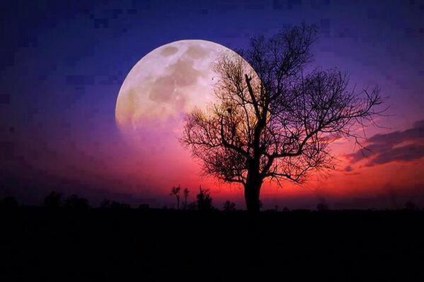 Sen Gece Ol
