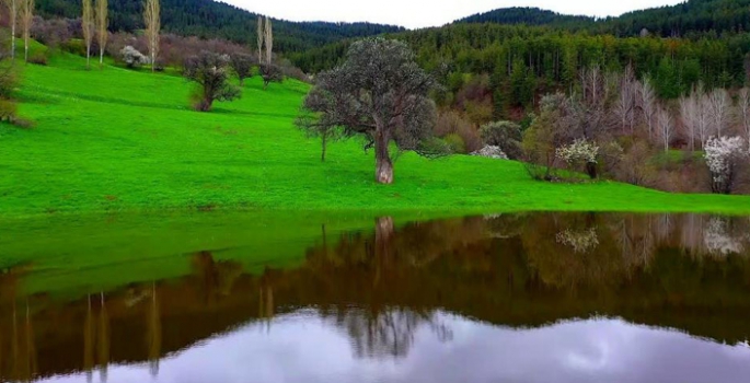 Açılır Kapılar